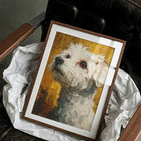 Scruffy and Soulful