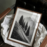 Windswept Timberline
