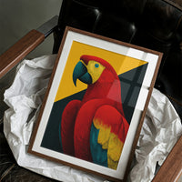 Scarlet Macaw Study
