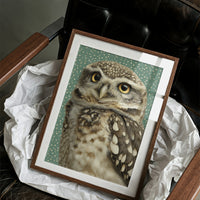 Wide-Eyed Little Owl