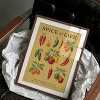 Spice of Life: Vintage Chili Pepper Chart