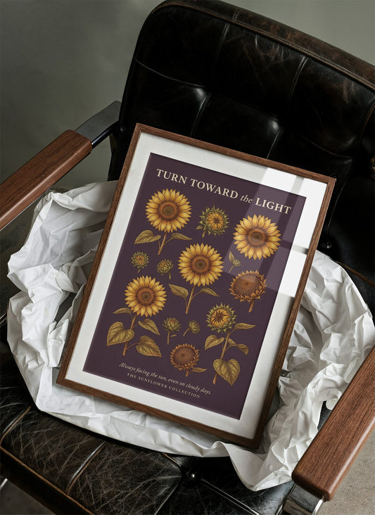 Turn Toward the Light: Vintage Sunflower Chart