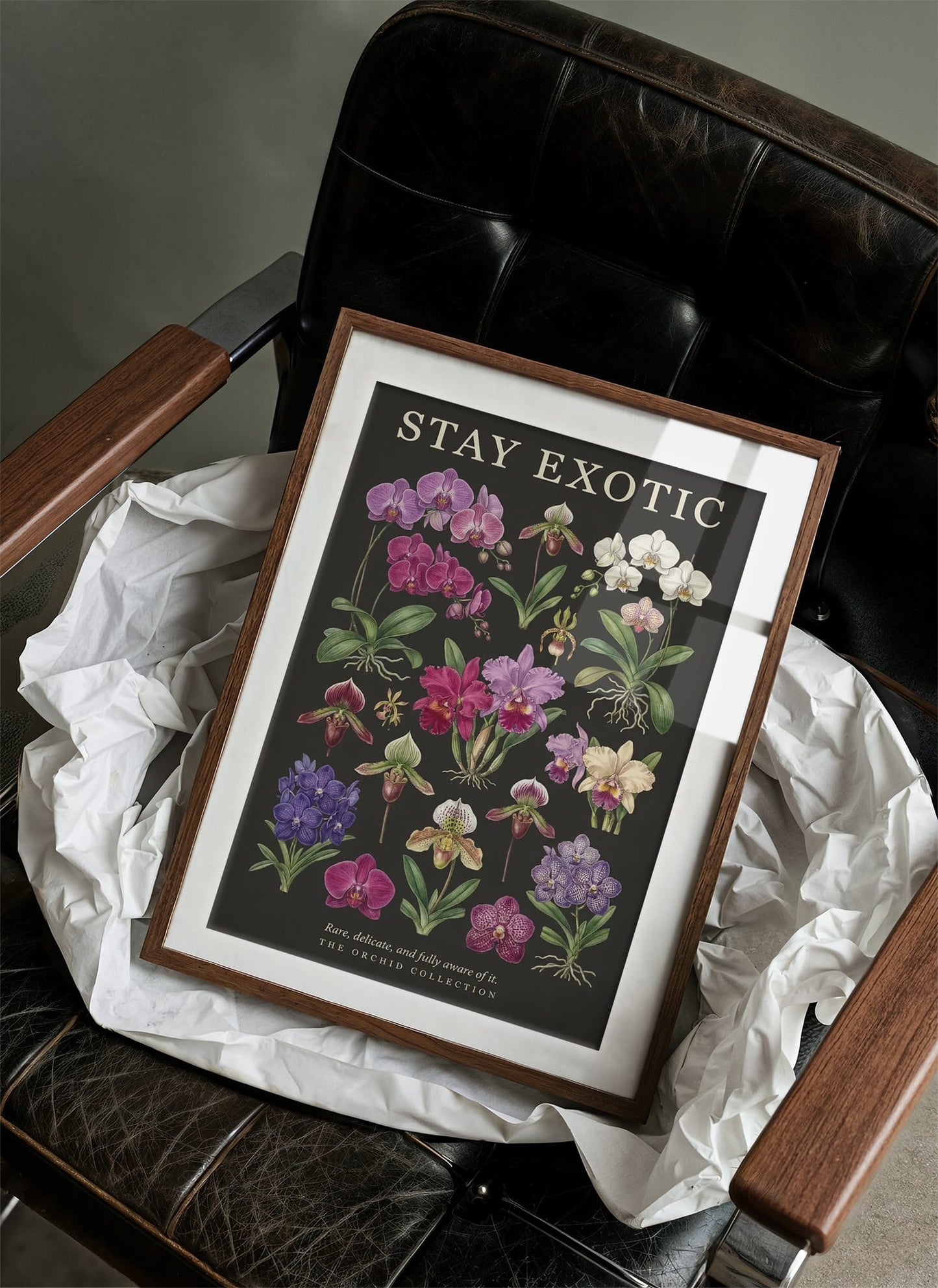 Stay Exotic: Vintage Orchid Chart
