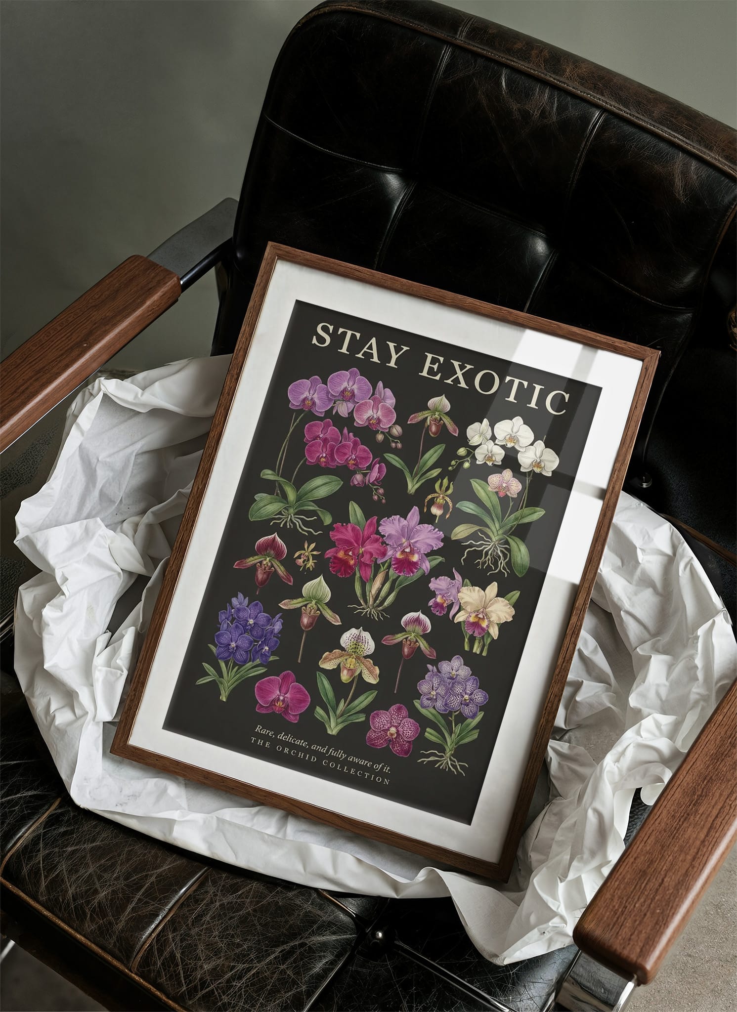 Stay Exotic: Vintage Orchid Chart