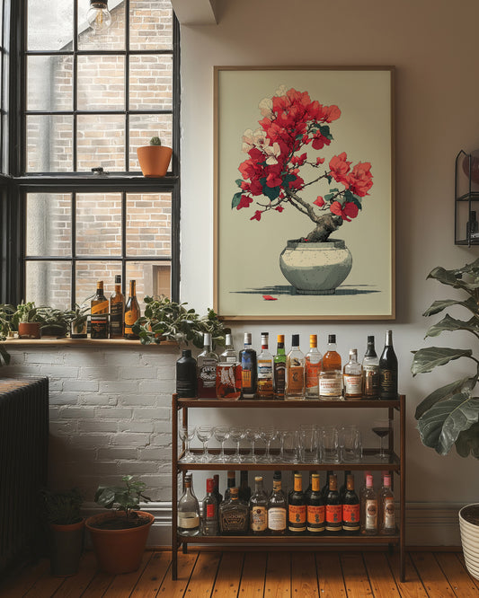 Bougainvillea in Bloom