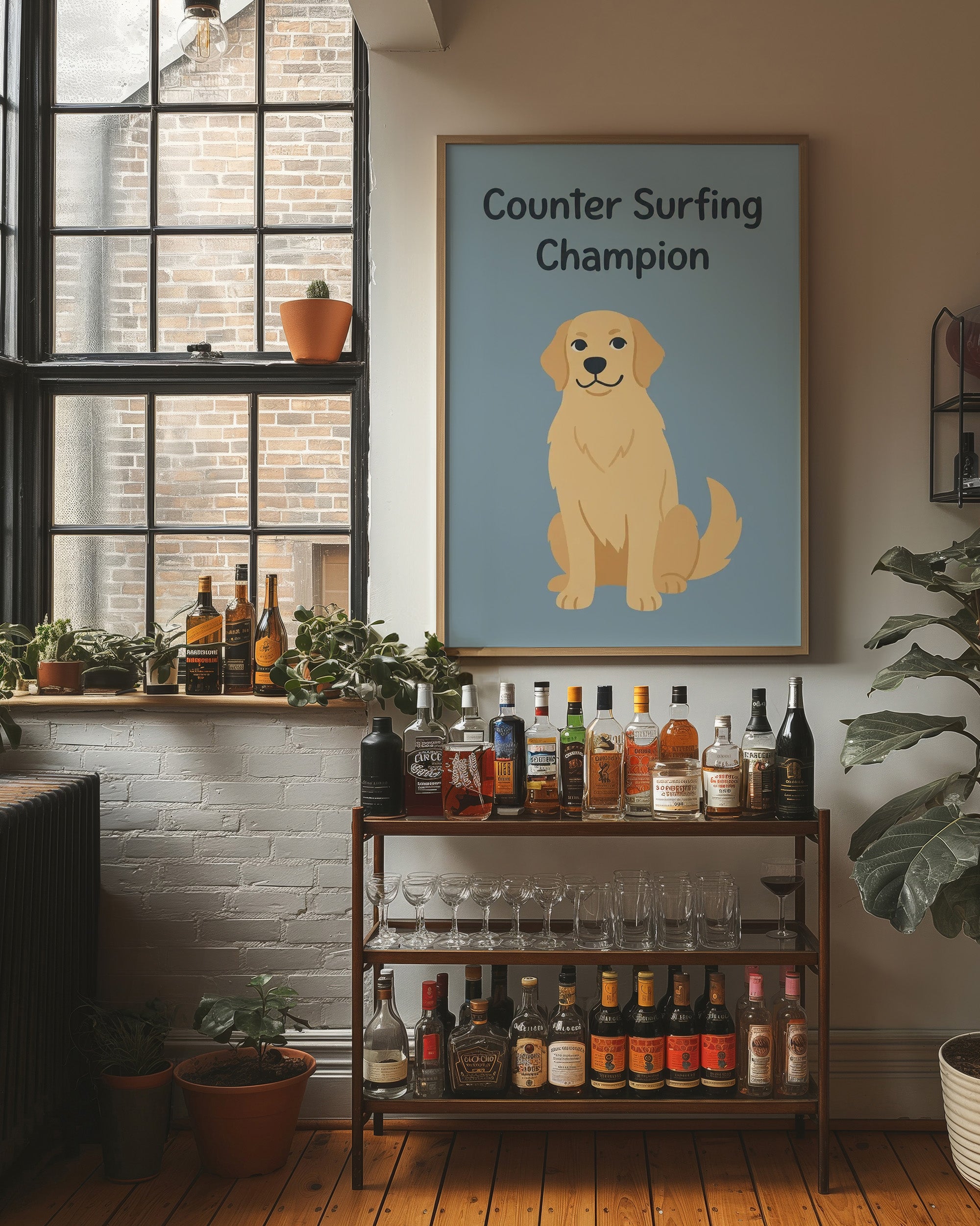Counter Surfing Champion
