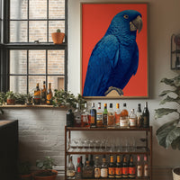 Cobalt Macaw Portrait