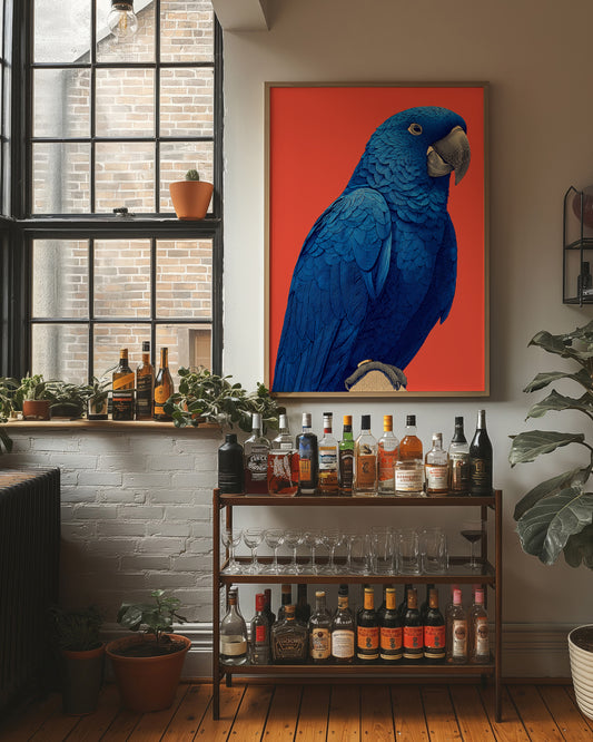 Cobalt Macaw Portrait