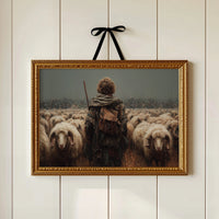 Shepherd Boy, Big Plans