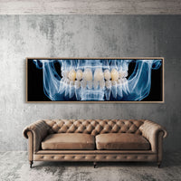Dental X Ray Close Up