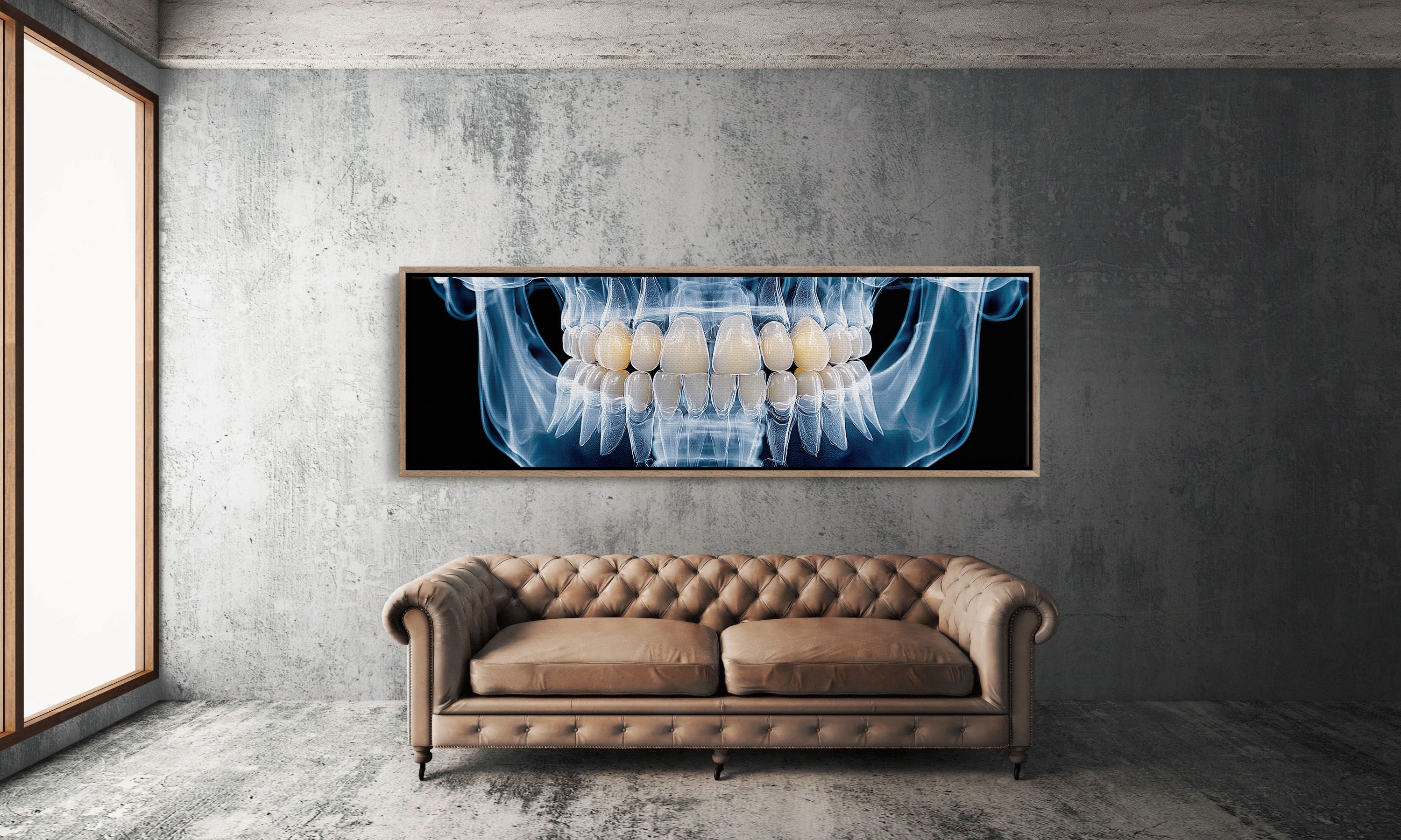 Dental X Ray Close Up