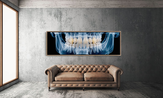 Dental X Ray Close Up