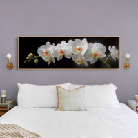 White Orchids In Midnight Bloom