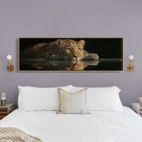 Resting Leopard Reflection