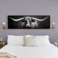 Black and White Longhorn Portrait on Dark Background