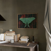 Luna Moth on Old Bark
