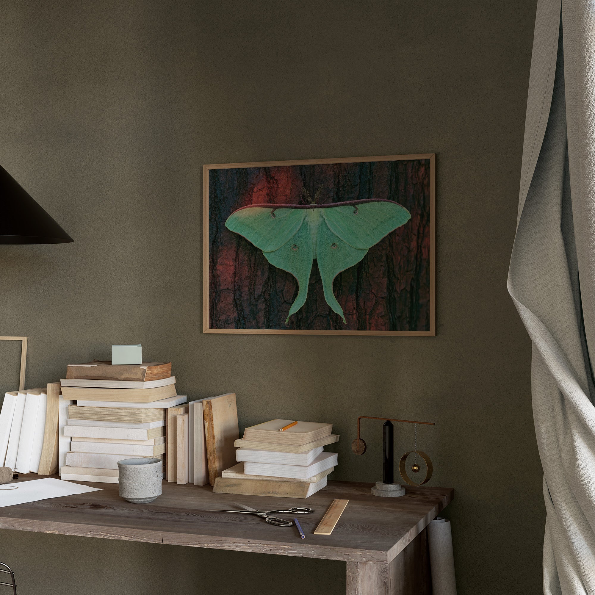 Luna Moth on Old Bark