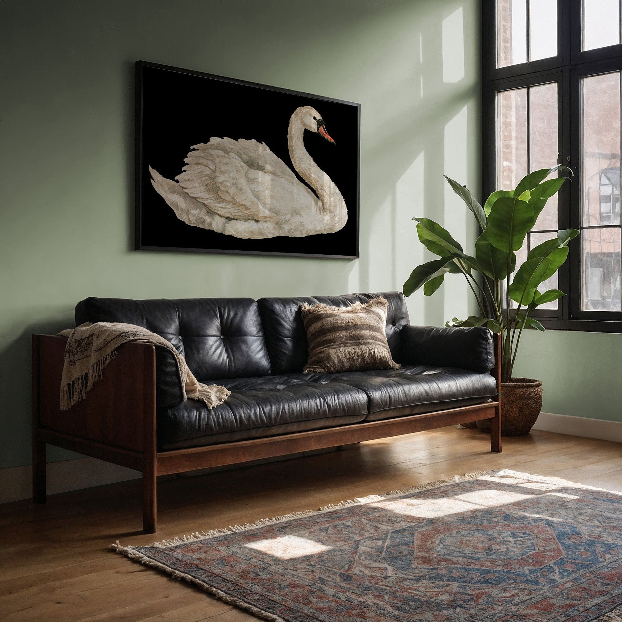 Swan, Study in White