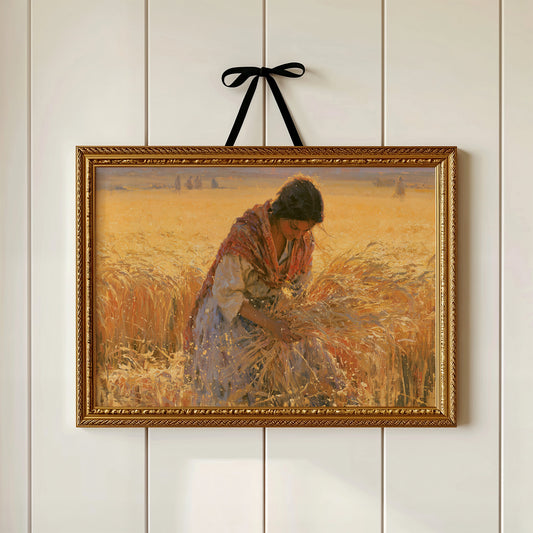 Gathering Sheaves at Golden Hour