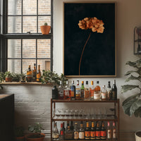 Dried Hydrangea Dark Still Life
