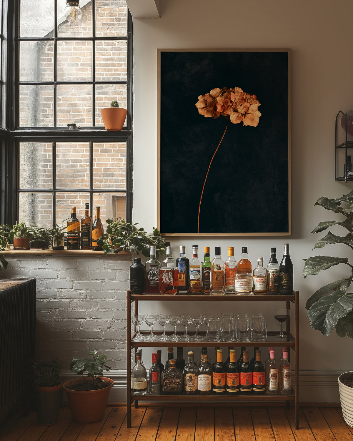 Dried Hydrangea Dark Still Life