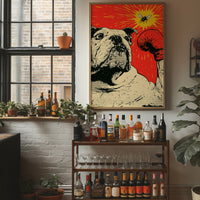 Bulldog Versus Fly Standoff