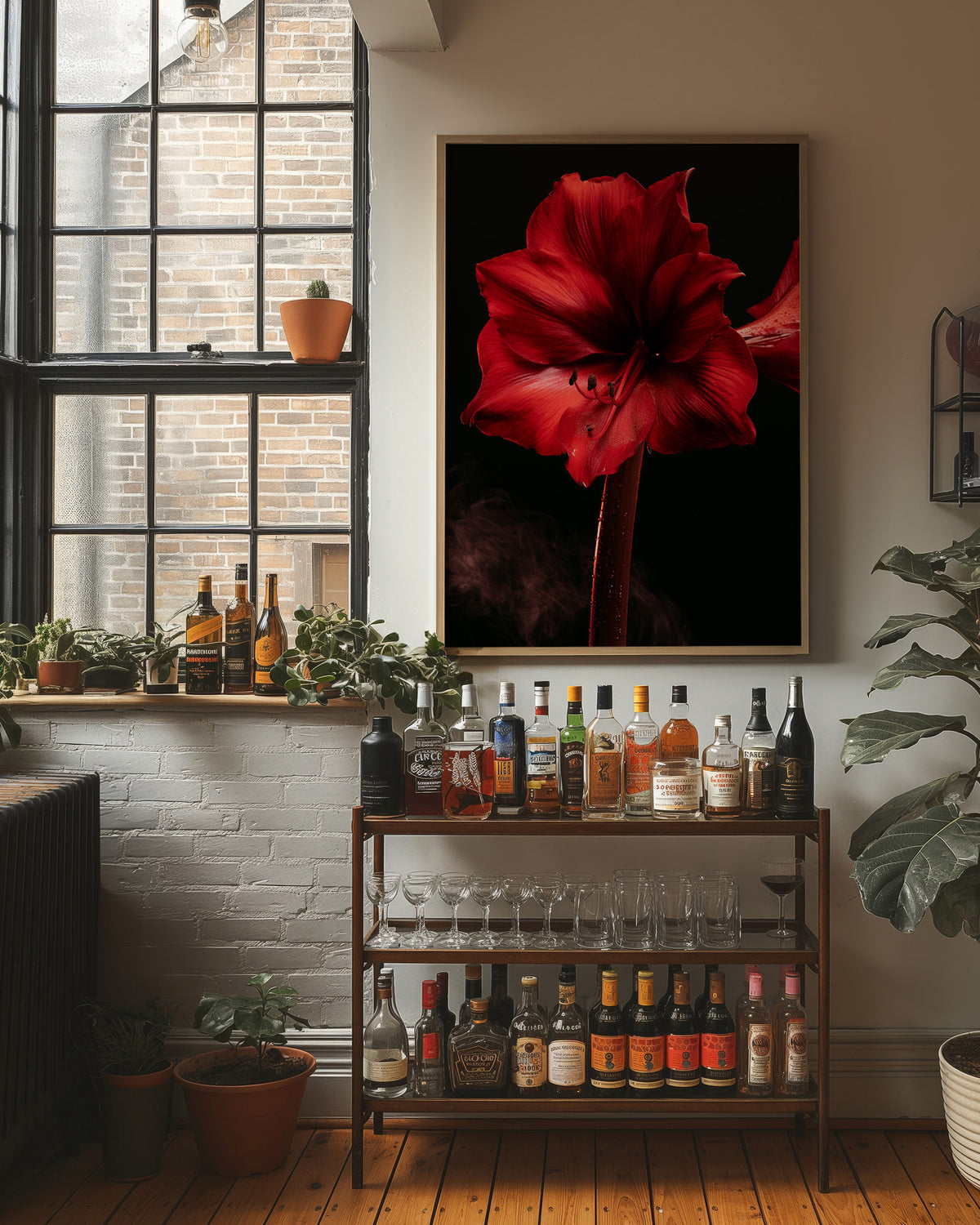 Amaryllis in Full Crimson Bloom