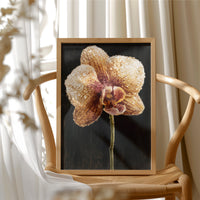 Orchid Stem in the Dark