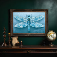 Frost-Blue Dragonfly Study