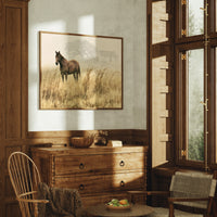 Bay Horse in the Golden Field