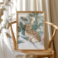 Rabbit In Snowy Pines