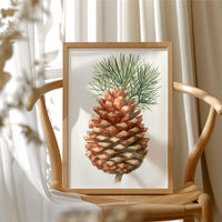 Pinecone Study No. 1