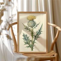 Thistle In Fine Botanical Detail