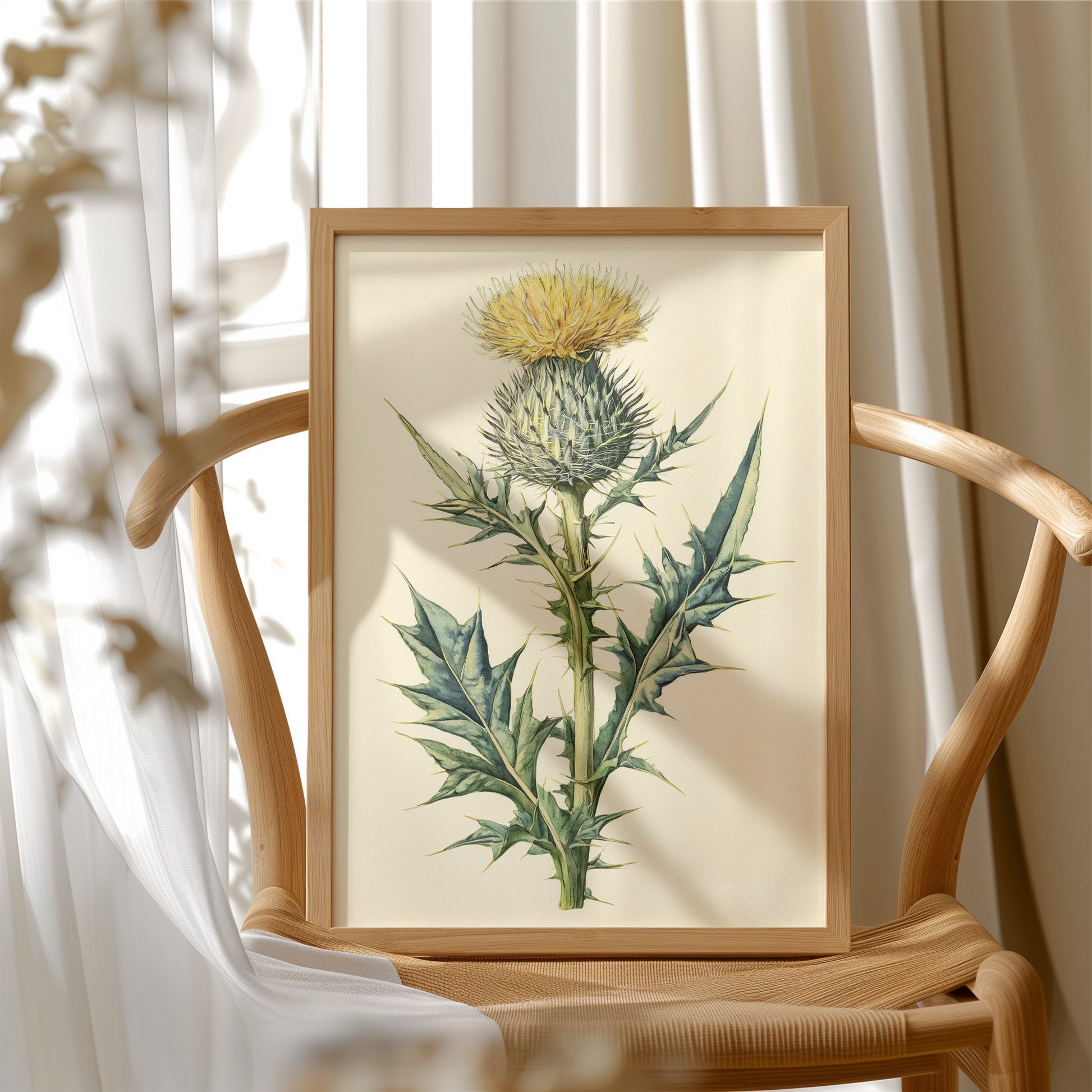 Thistle In Fine Botanical Detail