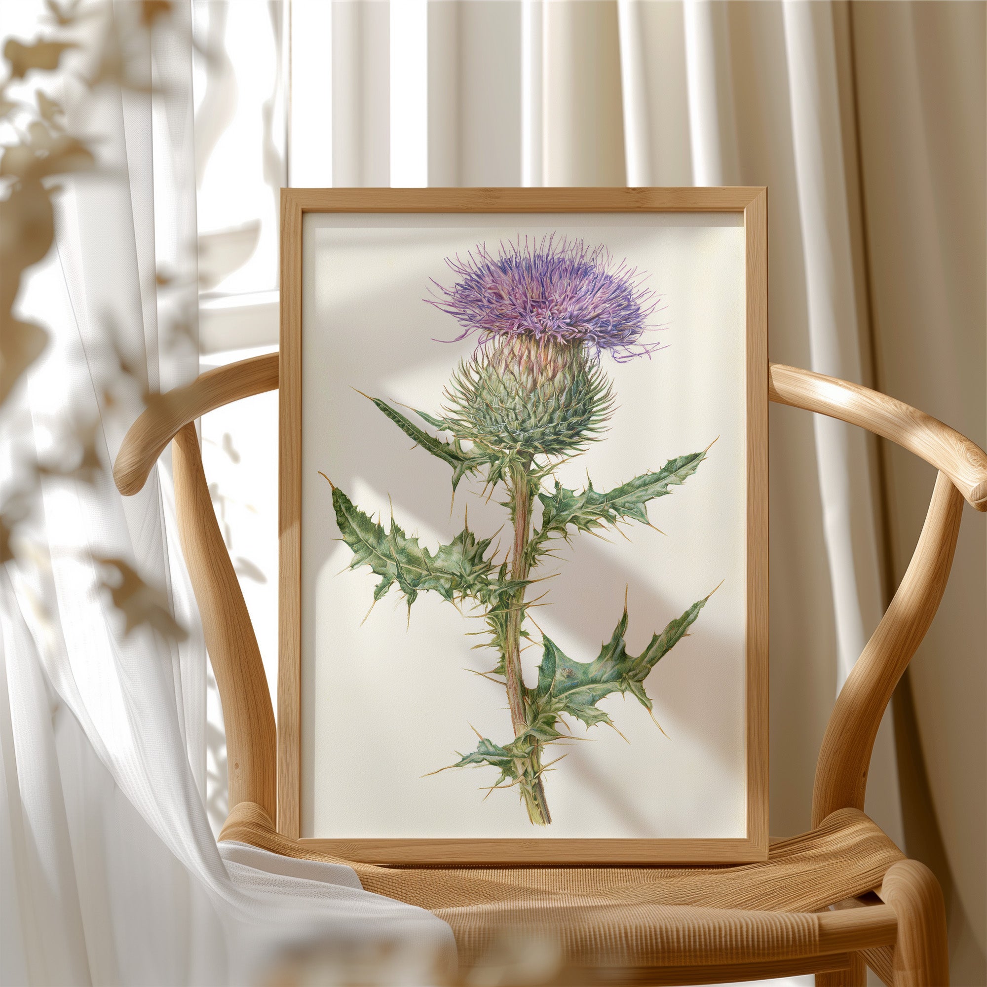 Purple Thistle In Fine Detail