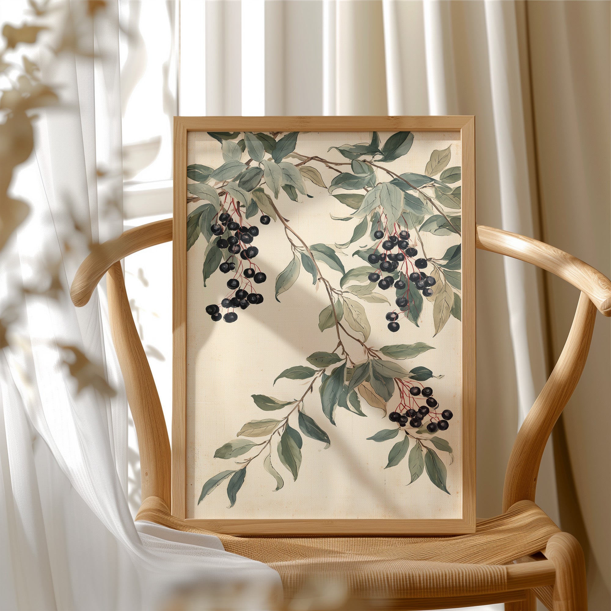 Botanical Berry: Elderberry Vine