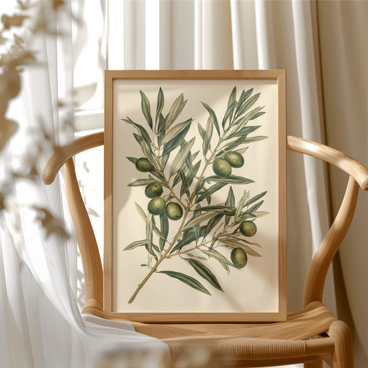Olive Branch Botanical Study