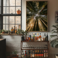 Redwoods and Sunburst