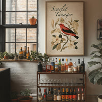 Scarlet Letter Among the Magnolias