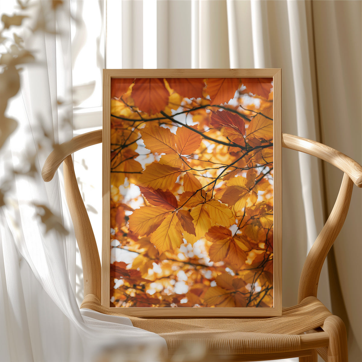 Stained Glass, Nature’s Version
