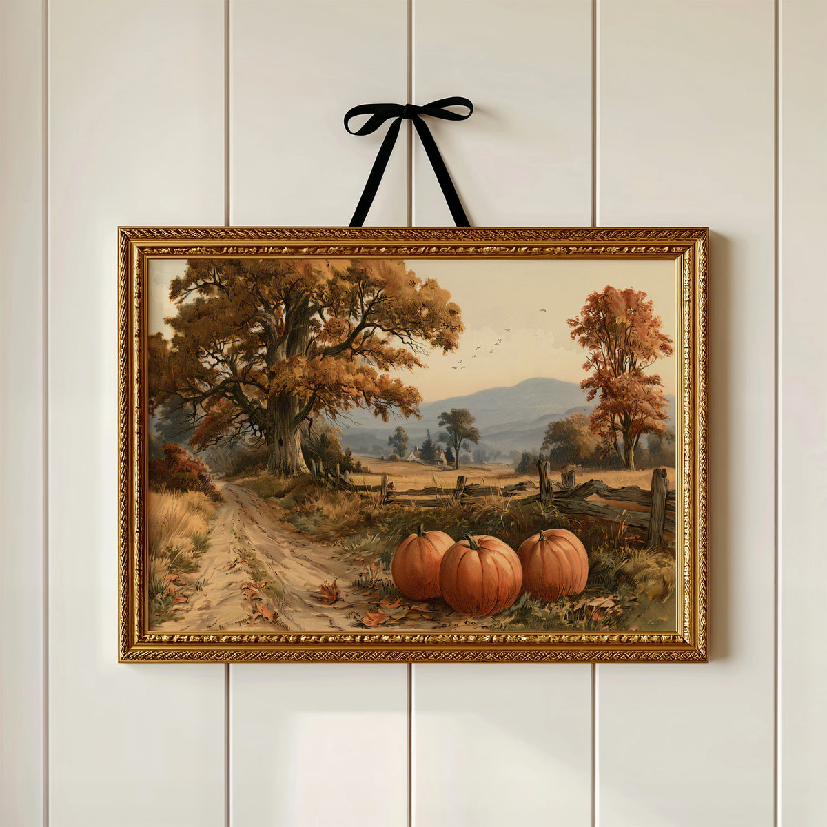 Three Pumpkins Waiting for a Ride