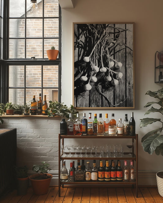 Garlic Hanging In Shadow