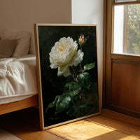 The White Rose Holds Its Light