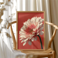 One Bloom, No Apology