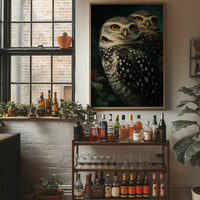 Two Owls, One Night
