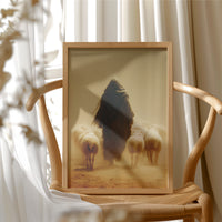 Cloaked in Dust and Silence
