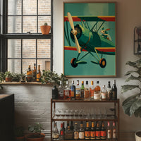 The Rabbit's Biplane