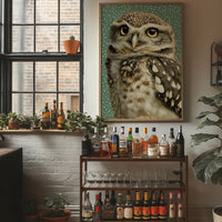 Wide-Eyed Little Owl