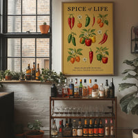 Spice of Life: Vintage Chili Pepper Chart