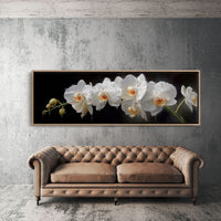White Orchids In Midnight Bloom